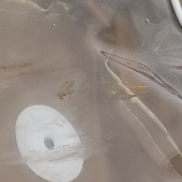 1950s Pendleton Robe In A Bag Designer Throw Blanket Red Black Wool Plaid Fringe - Picture 14 of 16